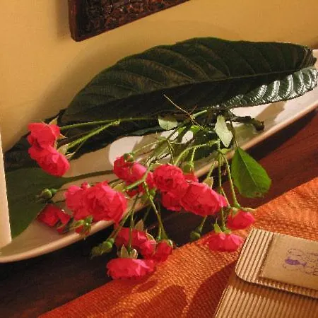 בית הארחה Mare Mare